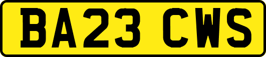 BA23CWS