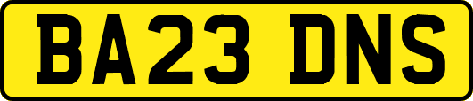 BA23DNS