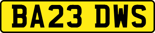 BA23DWS