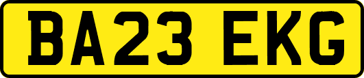 BA23EKG