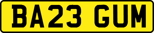 BA23GUM