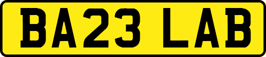 BA23LAB