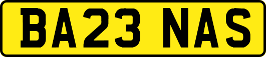 BA23NAS