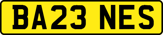 BA23NES