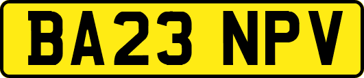 BA23NPV
