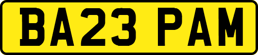 BA23PAM
