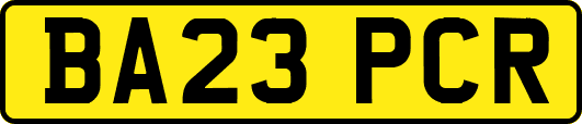 BA23PCR