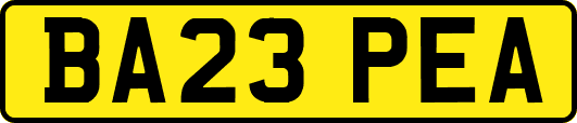 BA23PEA