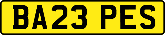BA23PES