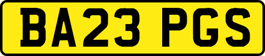 BA23PGS