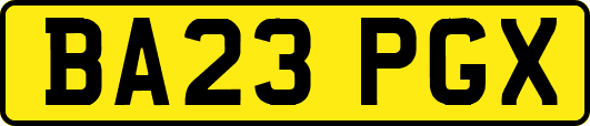BA23PGX