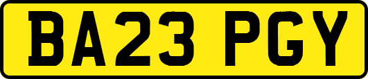 BA23PGY