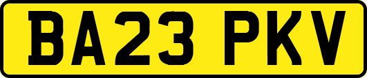 BA23PKV