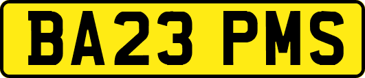 BA23PMS