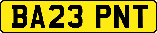 BA23PNT