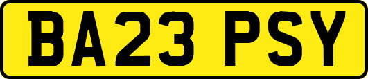 BA23PSY