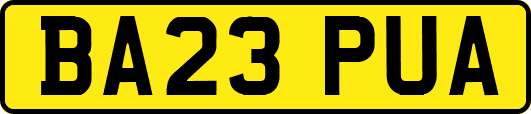 BA23PUA