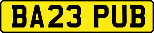 BA23PUB