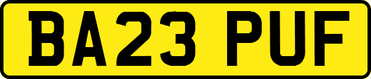 BA23PUF