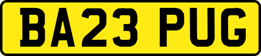 BA23PUG