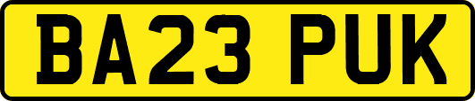 BA23PUK