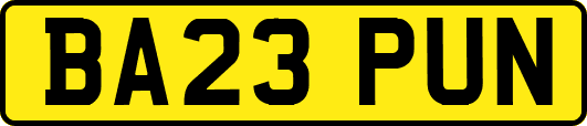 BA23PUN