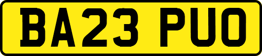 BA23PUO