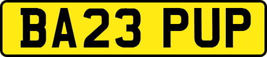 BA23PUP