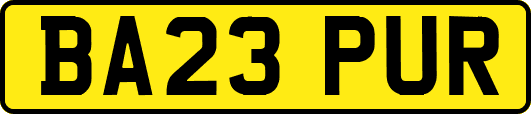 BA23PUR