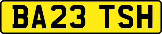 BA23TSH