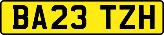 BA23TZH