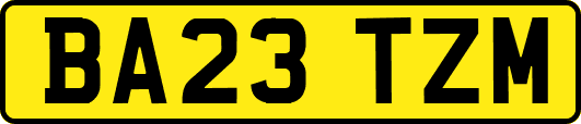 BA23TZM