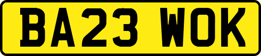 BA23WOK