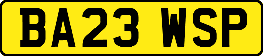 BA23WSP