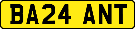 BA24ANT