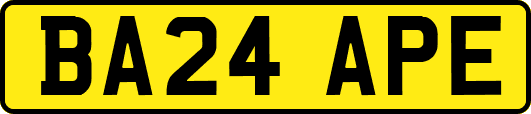 BA24APE