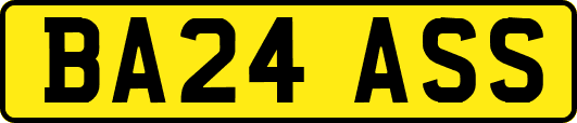 BA24ASS