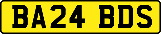 BA24BDS