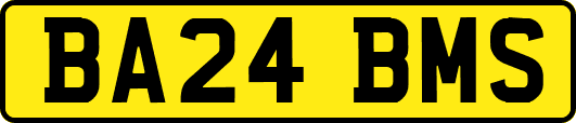 BA24BMS