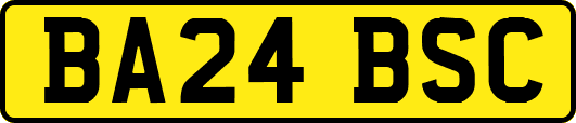 BA24BSC