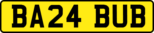 BA24BUB