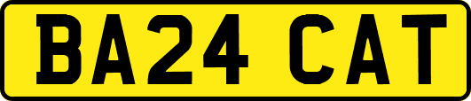 BA24CAT