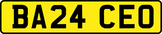 BA24CEO