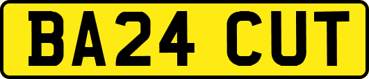 BA24CUT