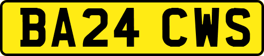 BA24CWS