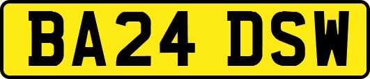 BA24DSW