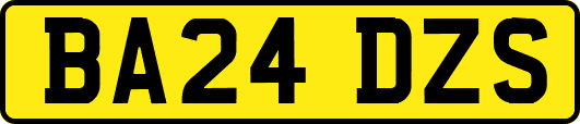 BA24DZS