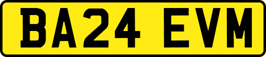 BA24EVM