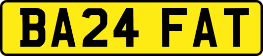 BA24FAT