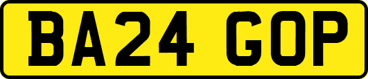 BA24GOP